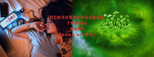СК Алзамай