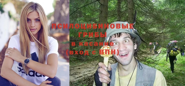 СК Алексин