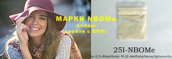 СК Алексин
