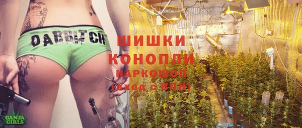 СК Алексин