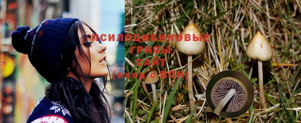 синтетический гашиш Алексеевка