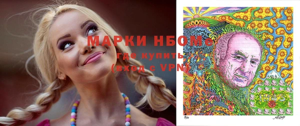 СК Алексин