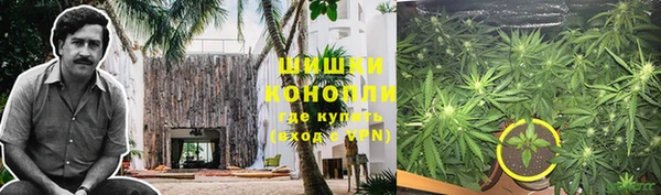 СК Алзамай