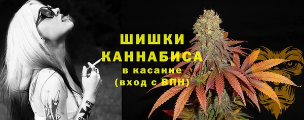 СК Алзамай
