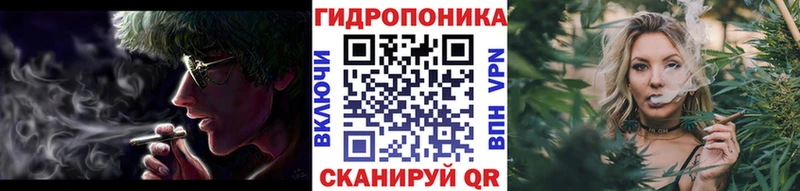 Конопля индика  Удачный 